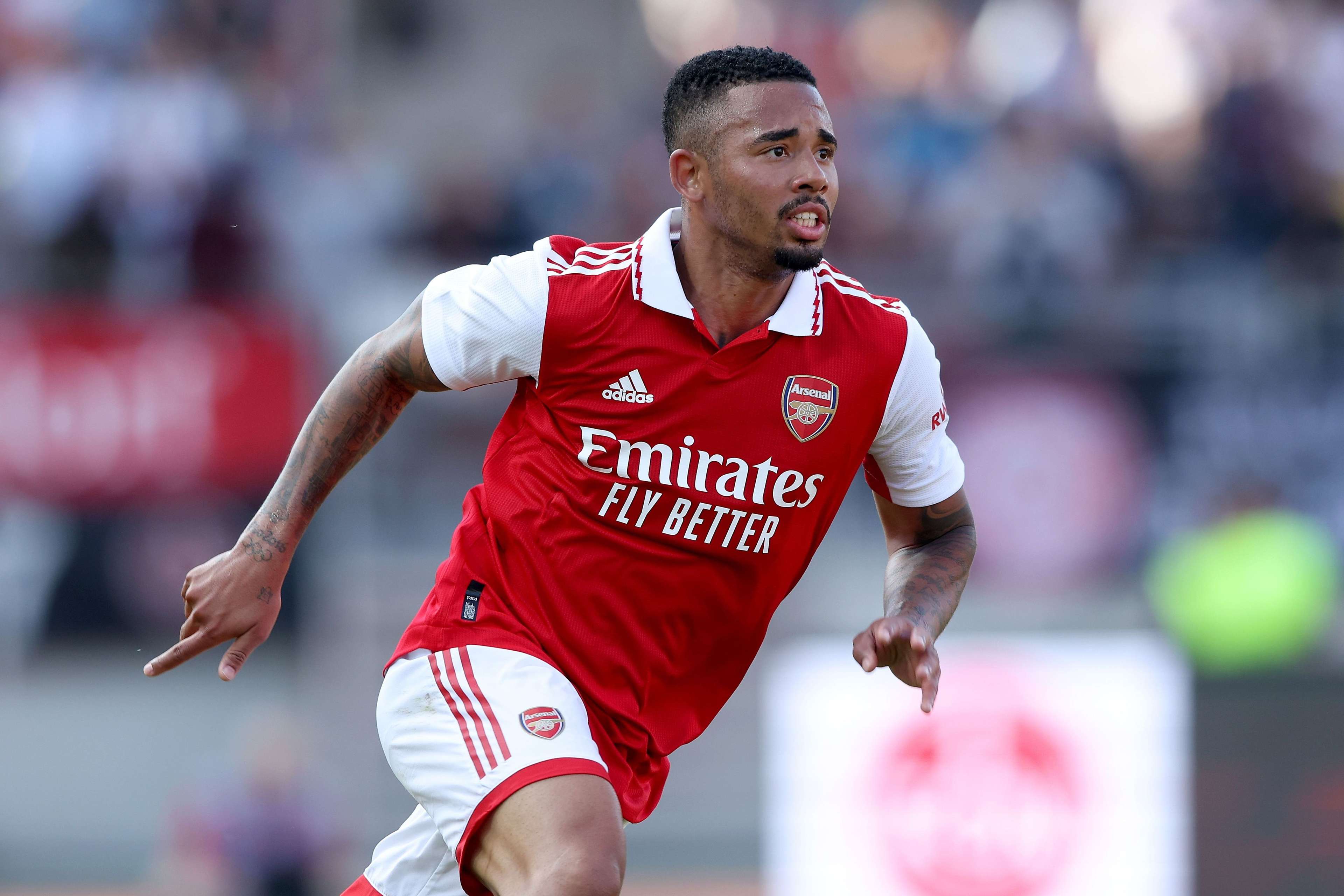 样性提供了 样性提供了