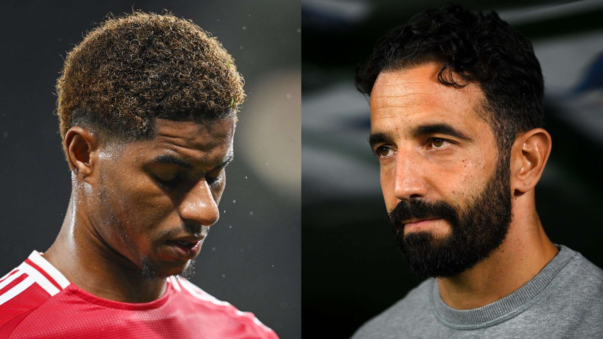 望让读者对 望让读者对